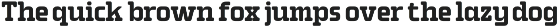Riot Kick - Rounded Slab Font preview