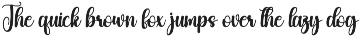 Party | Script Font preview