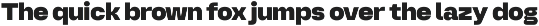 DK 01 - Typeface Family preview