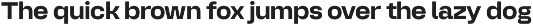 DK 01 - Typeface Family preview