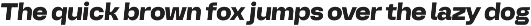 DK 01 - Typeface Family preview
