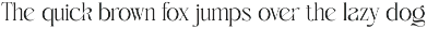 Making Modern Elegant Serif Font preview