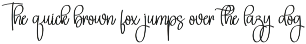 Wandering Winter | Script Font preview