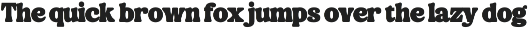 Silky Milky-Bold Retro Serif preview