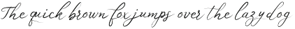 Romantic Swash - Elegant Script Font preview