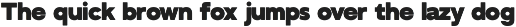 GC Bustle Sans – Variable Sans preview