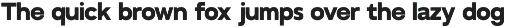 GC Bustle Sans – Variable Sans preview
