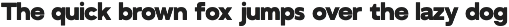 GC Bustle Sans – Variable Sans preview