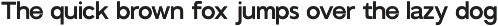 GC Bustle Sans – Variable Sans preview