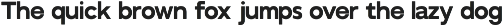 GC Bustle Sans – Variable Sans preview