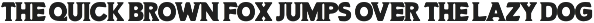 Seaside Script Duo preview