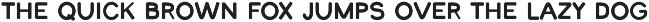 Rustic Bavarian Beer Festival Font preview