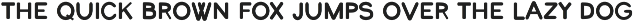 Rustic Bavarian Beer Festival Font preview