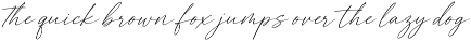Maruka Castelio - Signature font font preview