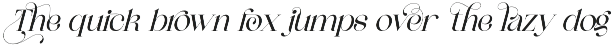 Connect Markets - Modern Serif Font preview