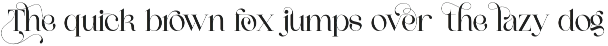 Connect Markets - Modern Serif Font preview