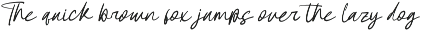 Femhitary Bold Handwritten Font preview