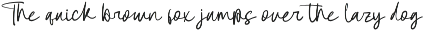 Femhitary Bold Handwritten Font preview