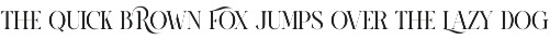 Ronza Elegant Serif Font preview