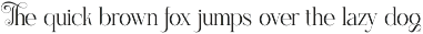 Thomas Elegant Serif Font preview