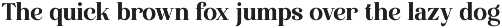 Wonder Society - Family Modern Serif preview