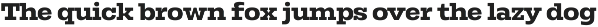 Rods; 72 Styles Slab Serif preview