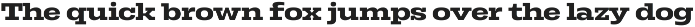 Rods; 72 Styles Slab Serif preview