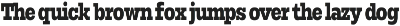 Rods; 72 Styles Slab Serif preview