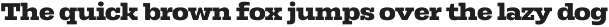 Rods; 72 Styles Slab Serif preview