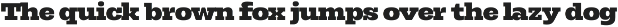 Rods; 72 Styles Slab Serif preview