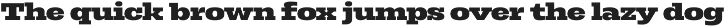 Rods; 72 Styles Slab Serif preview