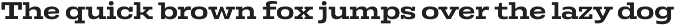 Rods; 72 Styles Slab Serif preview