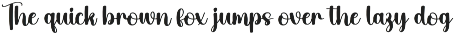Holiday | Script Font preview