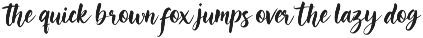 Maisson Zelora - Script font preview