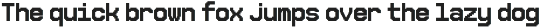 Informix - Monospaced Font preview