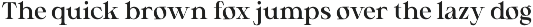 Silvora - Elegant Editorial Serif preview
