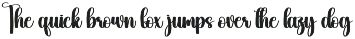 Varsity | Script Font preview