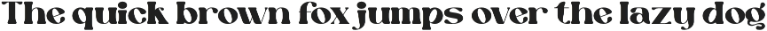 Enagola – Retro Serif Font preview