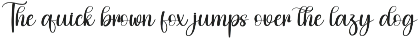 Squad | Script Font preview