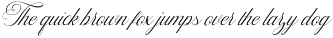 Callontine Script Pro preview