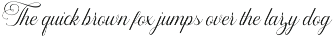 Callontine Script Pro font preview