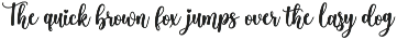 Lifestyle - Tail Swash Script Font preview