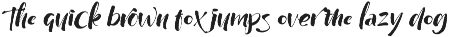 Wildwritten - Handwritten Script preview