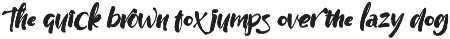 Wildwritten - Handwritten Script preview