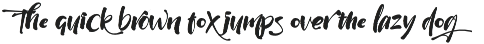 Wildwritten - Handwritten Script preview