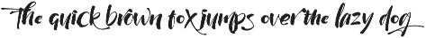 Wildwritten - Handwritten Script preview