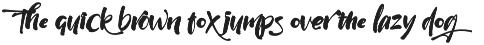 Wildwritten - Handwritten Script preview