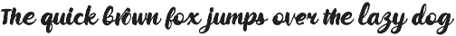 Wildwritten - Handwritten Script preview