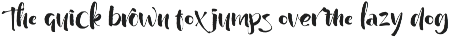 Wildwritten - Handwritten Script preview