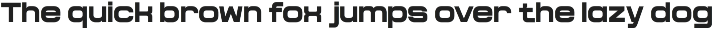 NV Dune Hero – Expanded Font Family preview
